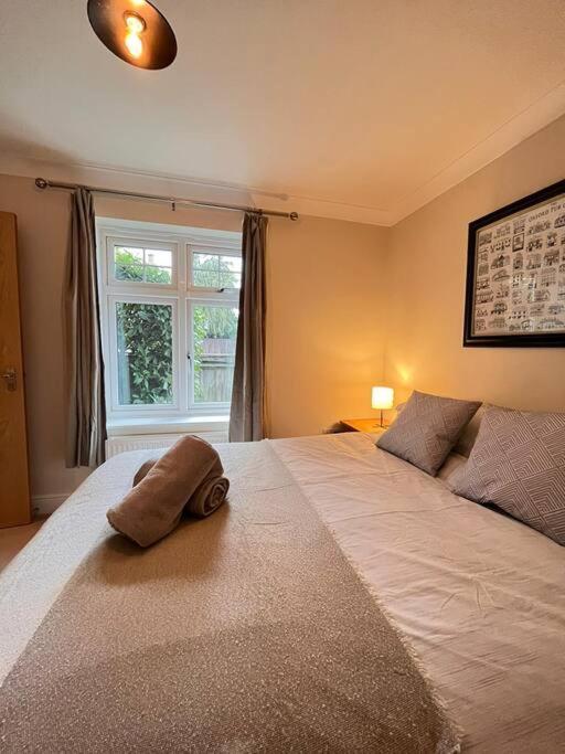 Space And Comfort In Summertown Oxford Kültér fotó